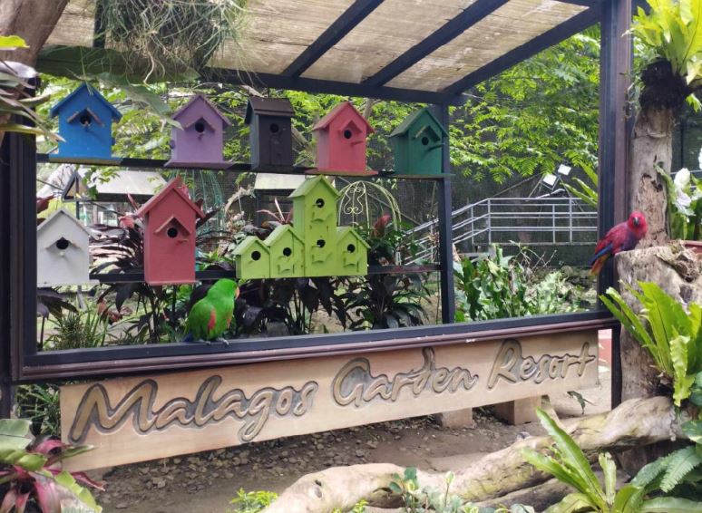 Malagos Birds - RealBreeze Davao Tour Packages