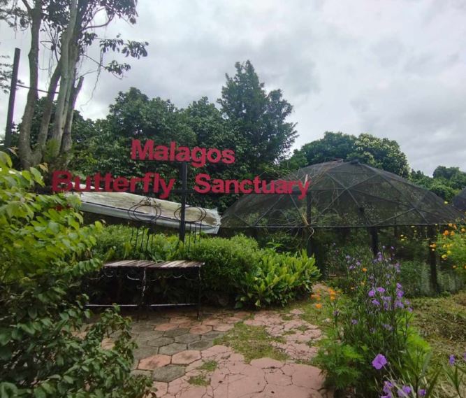 Malagos Butterfly Sanctuary - RealBreeze Davao Tour Packages